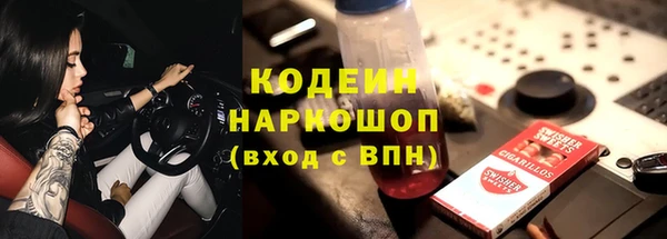 прущие грибы Вязники