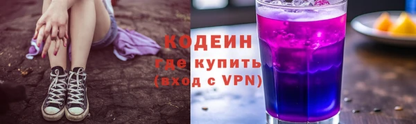 прущие грибы Вязники