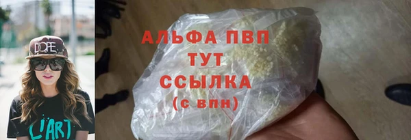 прущие грибы Вязники