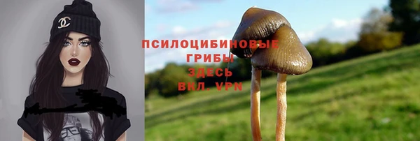 ешки Вязьма