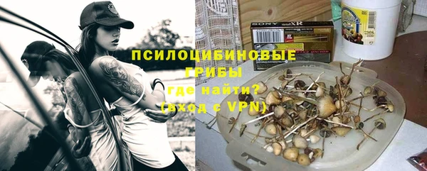 прущие грибы Вязники