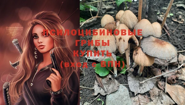 амф Верхний Тагил
