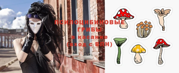 ешки Вязьма
