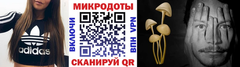 Галлюциногенные грибы Magic Shrooms  Зеленокумск 